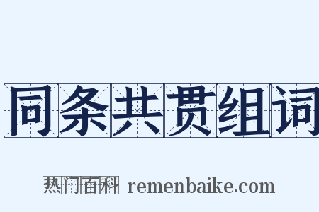 同条共贯组词是什么意思的图片